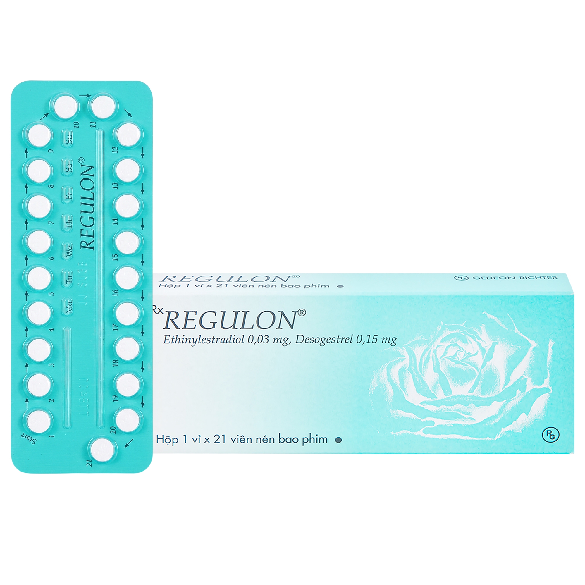 Regulon Gedeon